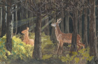 Rehe im Wald, Tusche 10x15 cm